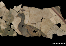 Ricomposizione dell'affresco che decorava un timpano di una stanza dell'edificio a est del foro (fine III sec. d.C.).